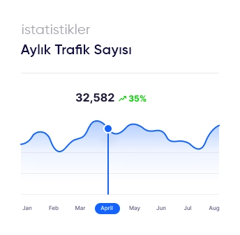 Aylık Trafik