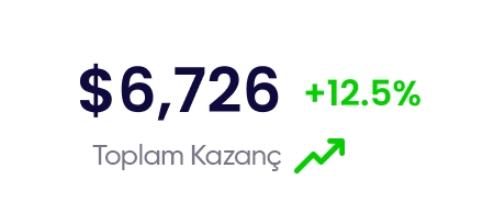 Toplam Kazanç